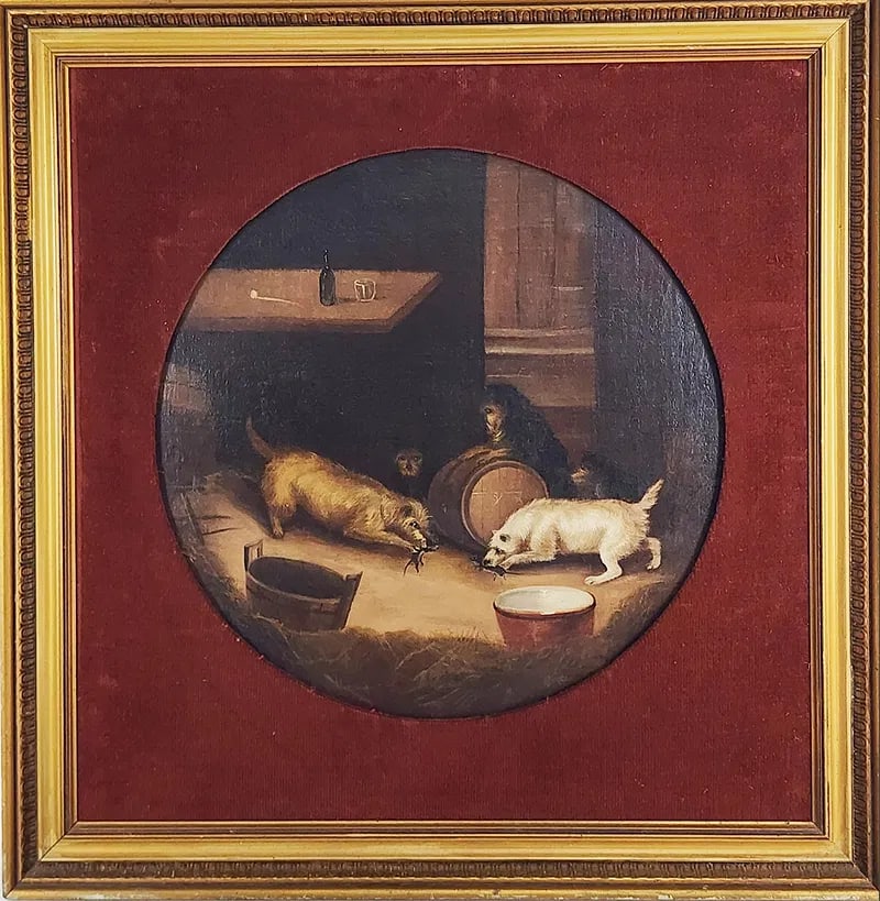 19th Century British School Oil Painting Of Terriers Ratting (1 of 4)