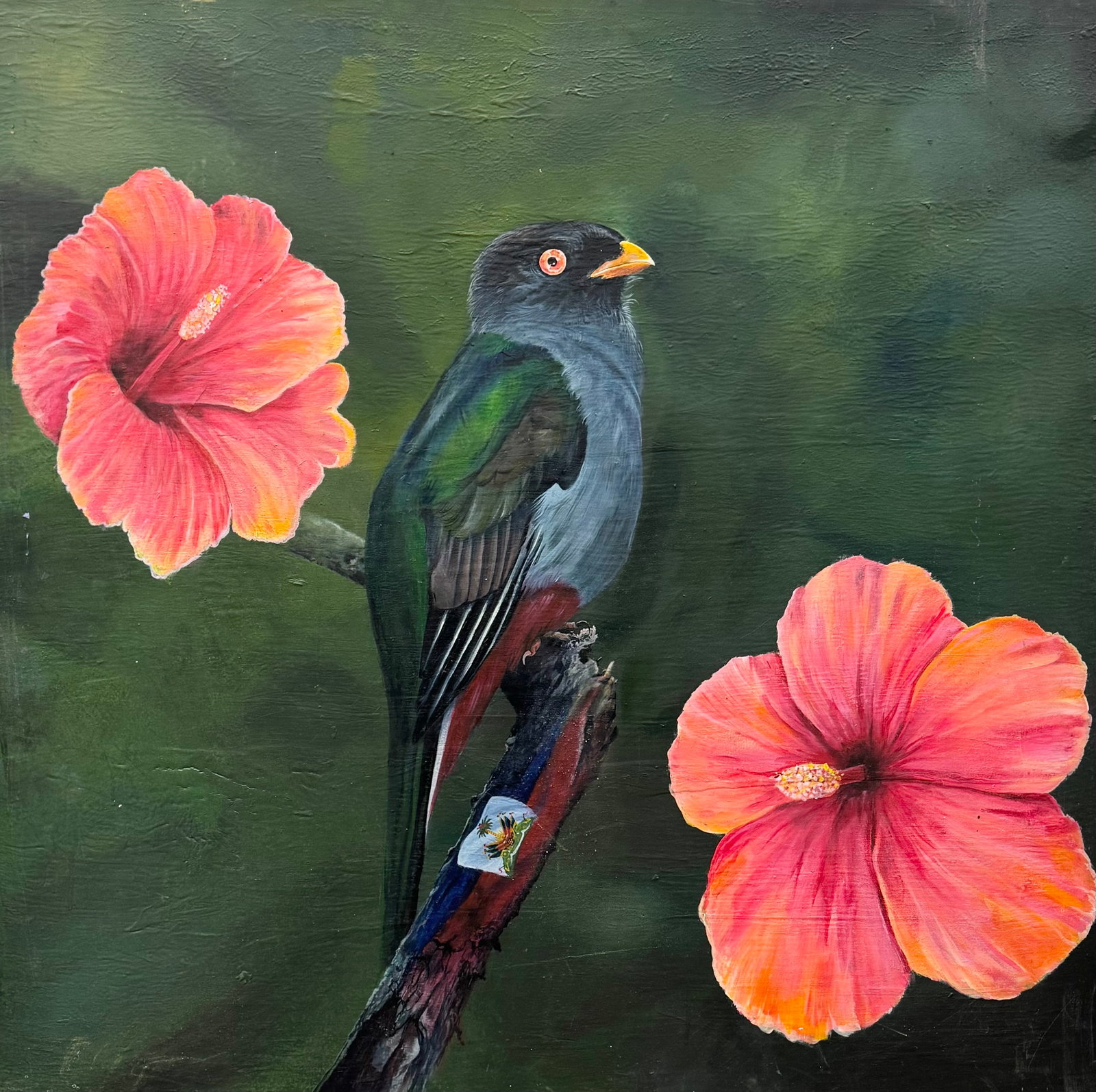 Large Original Oil Painting of Cuban Trogon (Tocororo) with Hibiscus Flowers 48": Oil painting on canvas 48 x 48 in