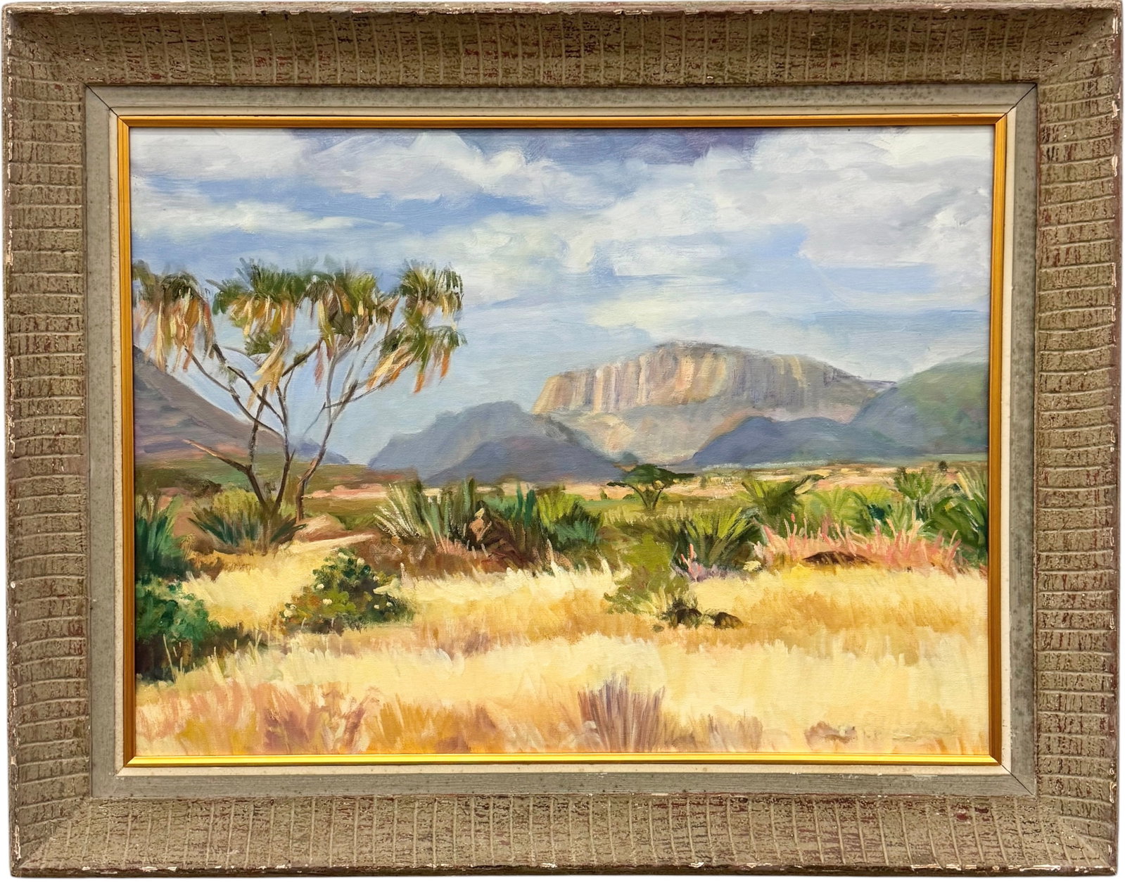 20th C South African School Karoo Landscape Oil Painting (1 of 2)