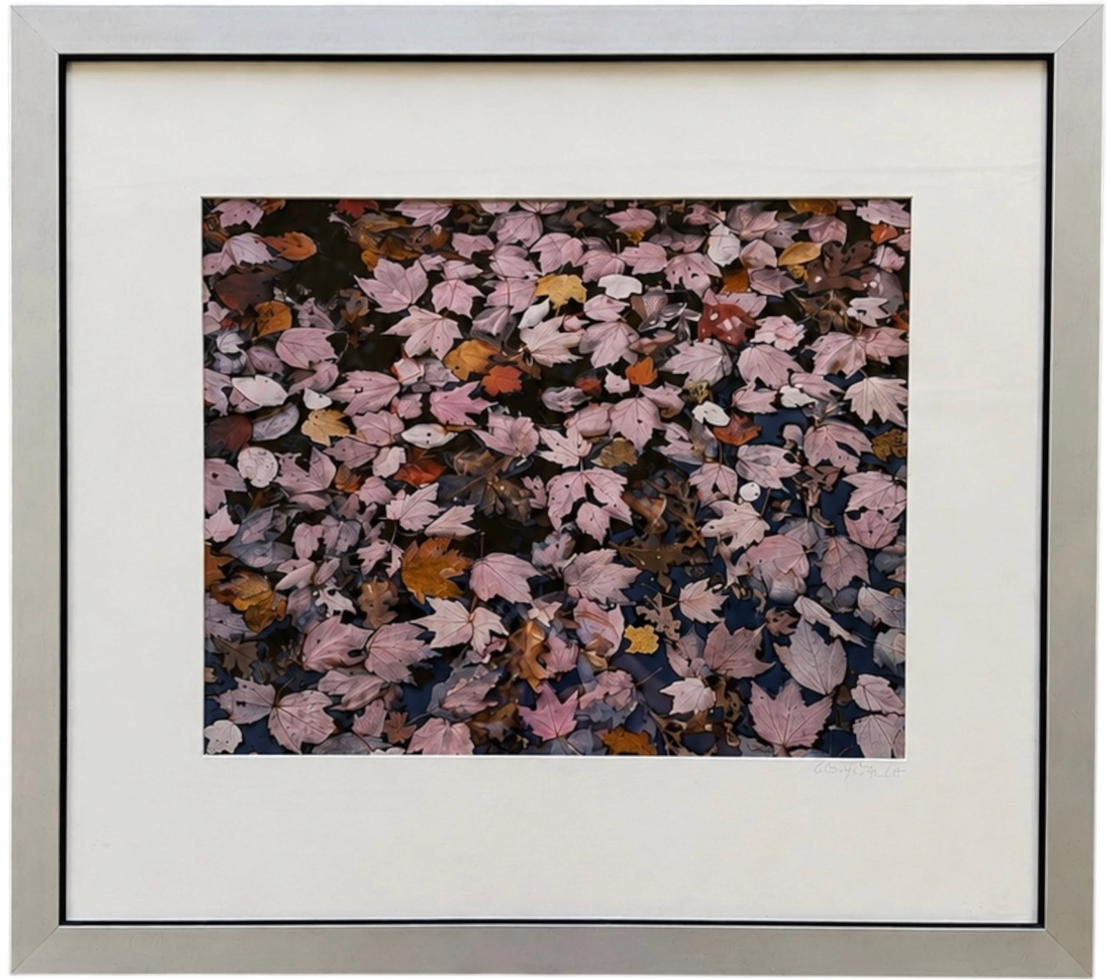 CHRISTOPHER BURKETT (American, B. 1951) Pink Floating Leaves on Deer Pond, Kentucky, 1990 (1 of 4)