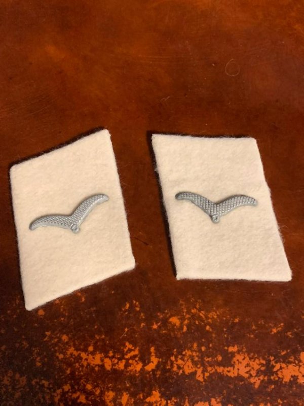 GERMAN NAZI WW2 PARATROOPERS COLLAR TABS: GERMAN NAZI WW2 PARATROOPERS COLLAR TABS. IN MINT OVERALL SHAPE AND CONDITION. A GREAT ADDITION TO YOUR COLLECTION.