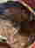 item-72949515=14