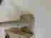 item-85452748=3