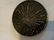 DATED 1896 MEXCIAN SILVER DOLLAR