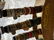 LOT OF VINTAGE COLLECTIBLE RINGS WITH DISPLAY CASE - 2