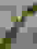 item-88767852=2