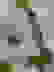 item-88767906=5