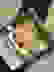 item-98272310=5