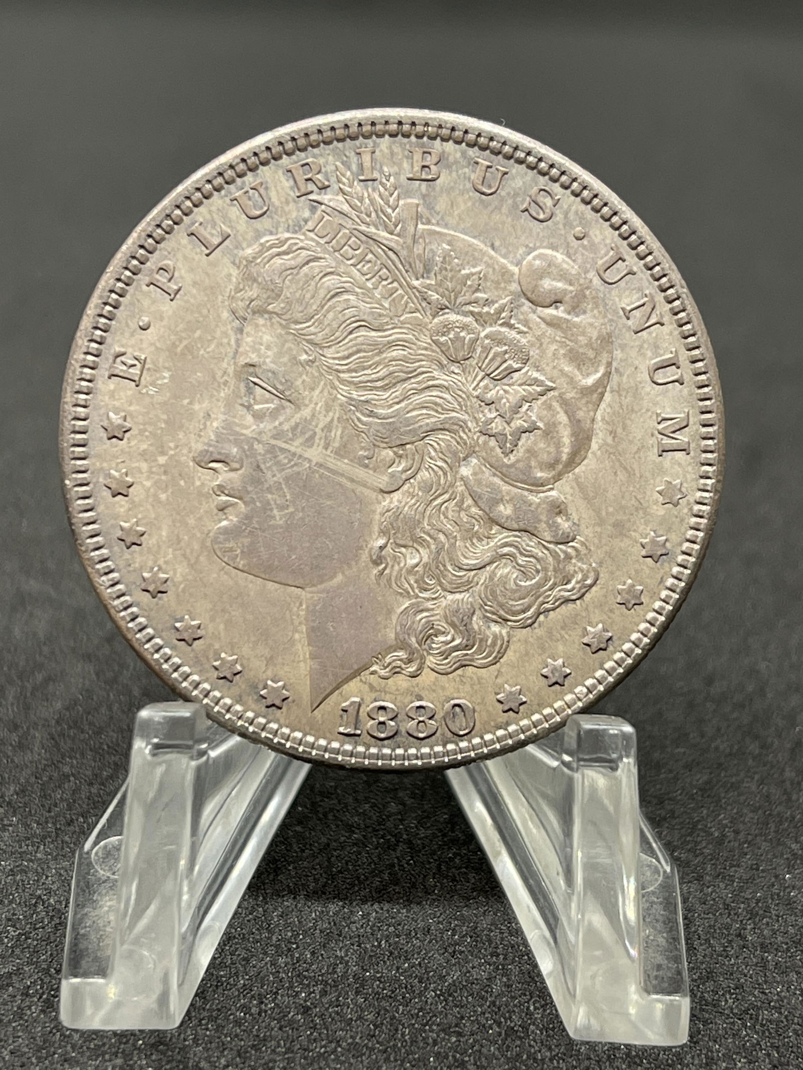 1880 MORGAN SILVER DOLLAR DEEP PATINA (1 of 2)