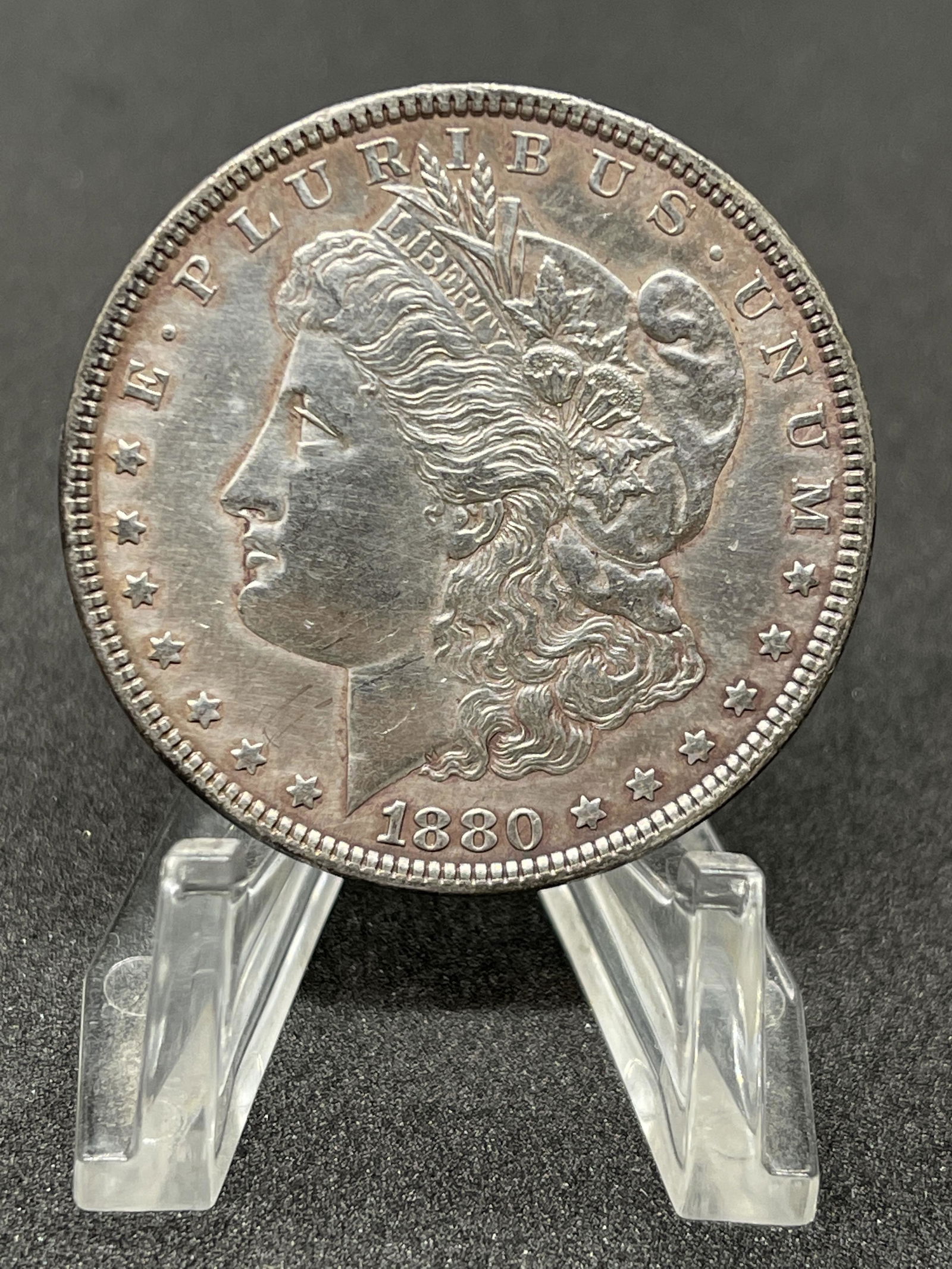 1880 MORGAN SILVER DOLLAR GRADES XF DARK GREY CAMEO (1 of 2)