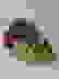 item-102481282=4