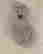 item-104536786=2