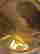 item-108757560=6