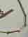 item-122351631=2