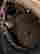 item-124976455=11