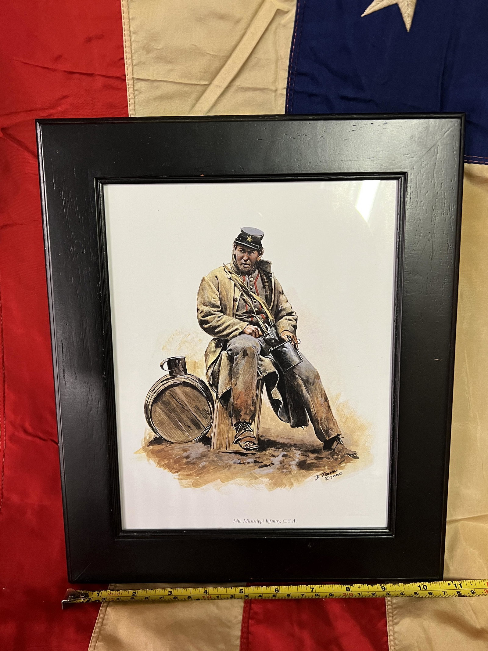 DON TROIANI 14TH MISSISSIPPI INFANTRY CSA PRINT FRAMED: DON TROIANI 14TH MISSISSIPPI INFANTRY CSA PRINT FRAMED. A RARE FIND. IT IS IN MINT OVERALL SHAPE AND CONDITION. A GREAT FIND AND AN EXCELLENT ADDITION TO YOUR COLLECTION.