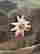 item-131166052=4
