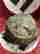 item-131166052=9