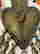 item-133863900=2