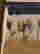 item-136790345=7