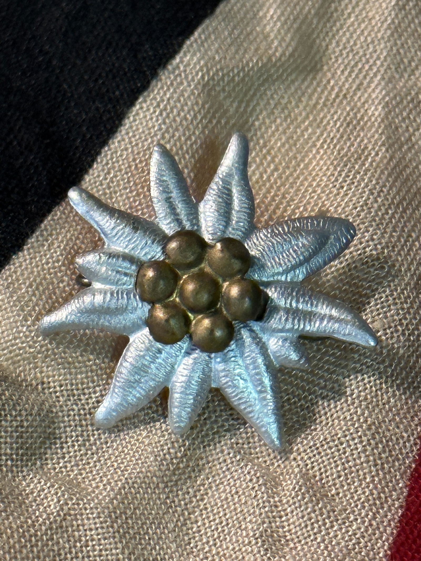 WW2 GERMAN MOUNTAIN TROOPS SIDE CAP EDELWEISS HAT PIN BADGE: WW2 GERMAN MOUNTAIN TROOPS SIDE CAP EDELWEISS HAT PIN BADGE. IN GOOD SHAPE AND CONDITION. SHOWS A NICE PATINA THROUGHOUT. PLEASE VIEW ALL DETAILED PICTURES.