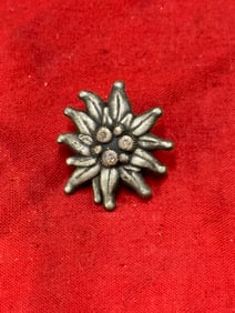 RARE WW2 GERMAN MOUNTAIN TROPPS BADGE INSIGNIA