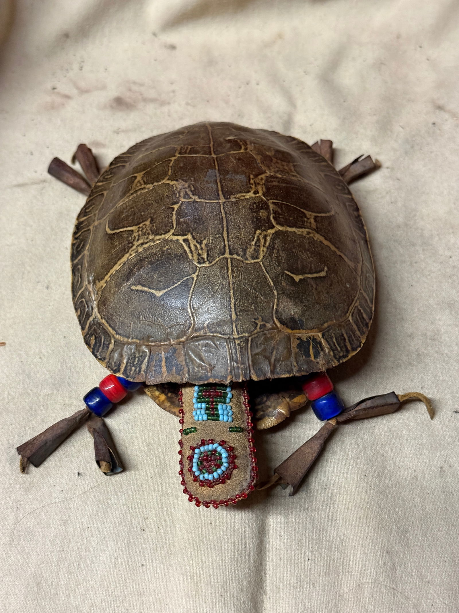 ANTIQUE EARLY 1800'S NATIVE AMERICAN BEADED TURTLE SHELL: ANTIQUE EARLY 1800'S NATIVE AMERICAN BEADED TURTLE SHELL. AN ULTRA RARE FIND THAT IS IN MINT OVERALL SHAPE AND CONDITION WITH A BEAUTIFUL OVERALL PATINA. THIS TURTLE SHELL IS DECORATED WITH BEADS. PLE