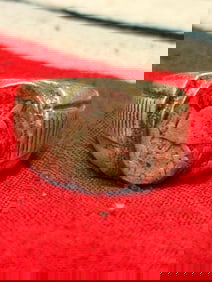RARE WW2 GERMAN 800 SILVER WOUND BADGE RING