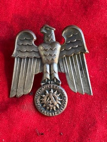 WW2 German NSDAP (NAZI PARTY) S.A. Brownshirts 1937 GRUPPE HOCHLAND DAY BADGE
