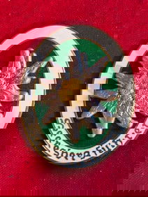 German mountain cavalry insignia World War II special forces Edelweiss Medal By Deschler & Sohn
