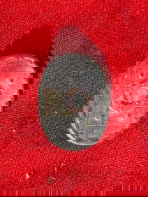 WW2 era German girls sports badge 1936 tinnie