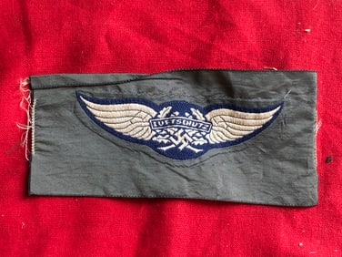 WW2 German Luftschutz Cap Insignia