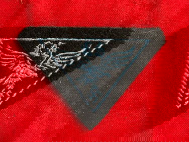 WW2 German HJ Luftwaffe Flak Helper Breast Eagle