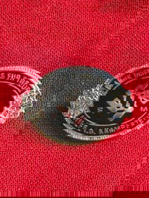 WWII GERMAN REICH WAFFEN SS MEMBER BADGE PIN BY RZM M1/133