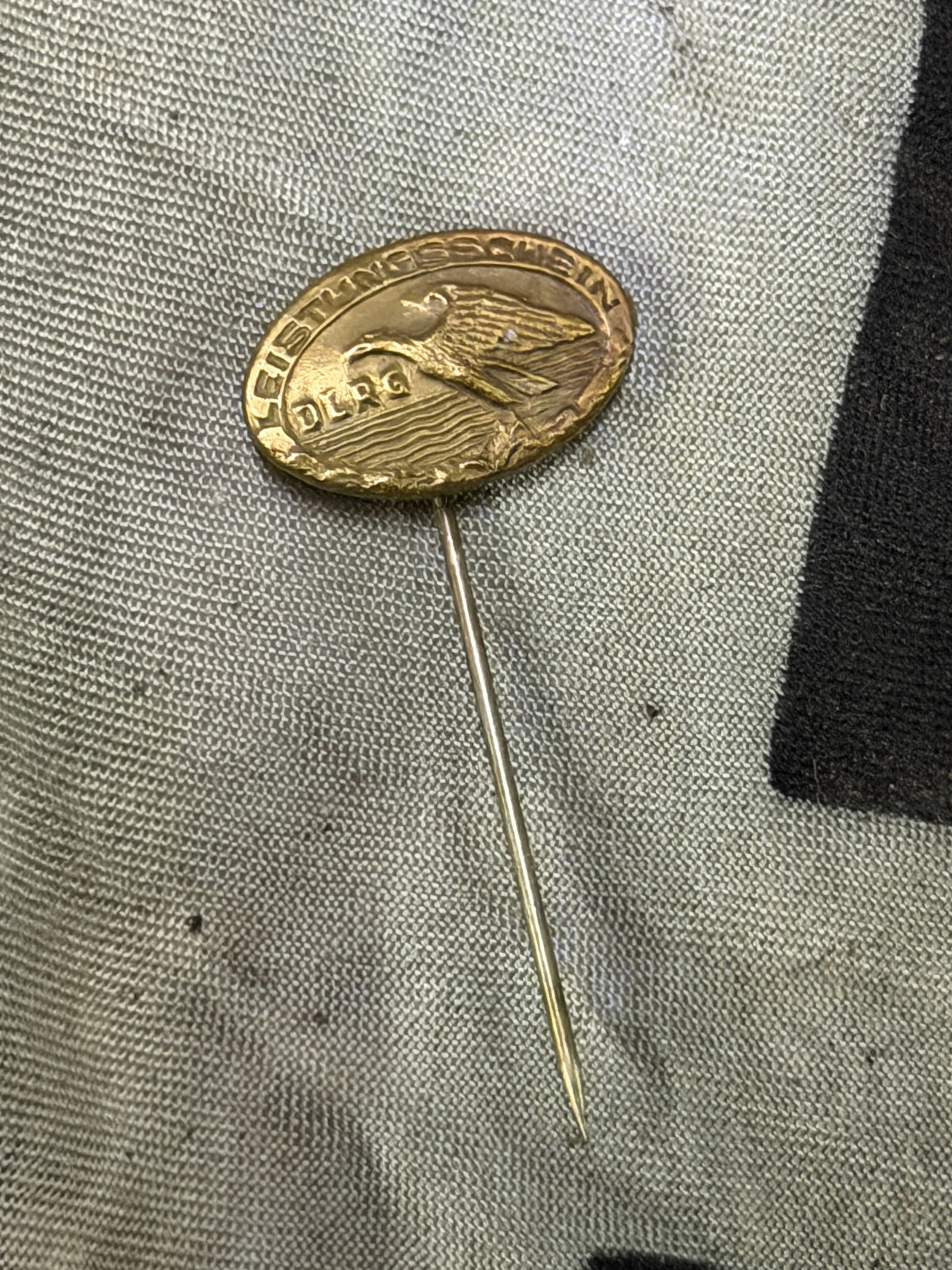 WWII German DLRG (Lifesaving) Stick Pin: WWII German DLRG (Lifesaving) Stick Pin. WWII German DLRG (Lifesaving) Stick Pin-This is oval, bronze finished with a knurled pin. There is an eagle with oak leaves along with the script "Grundschein 