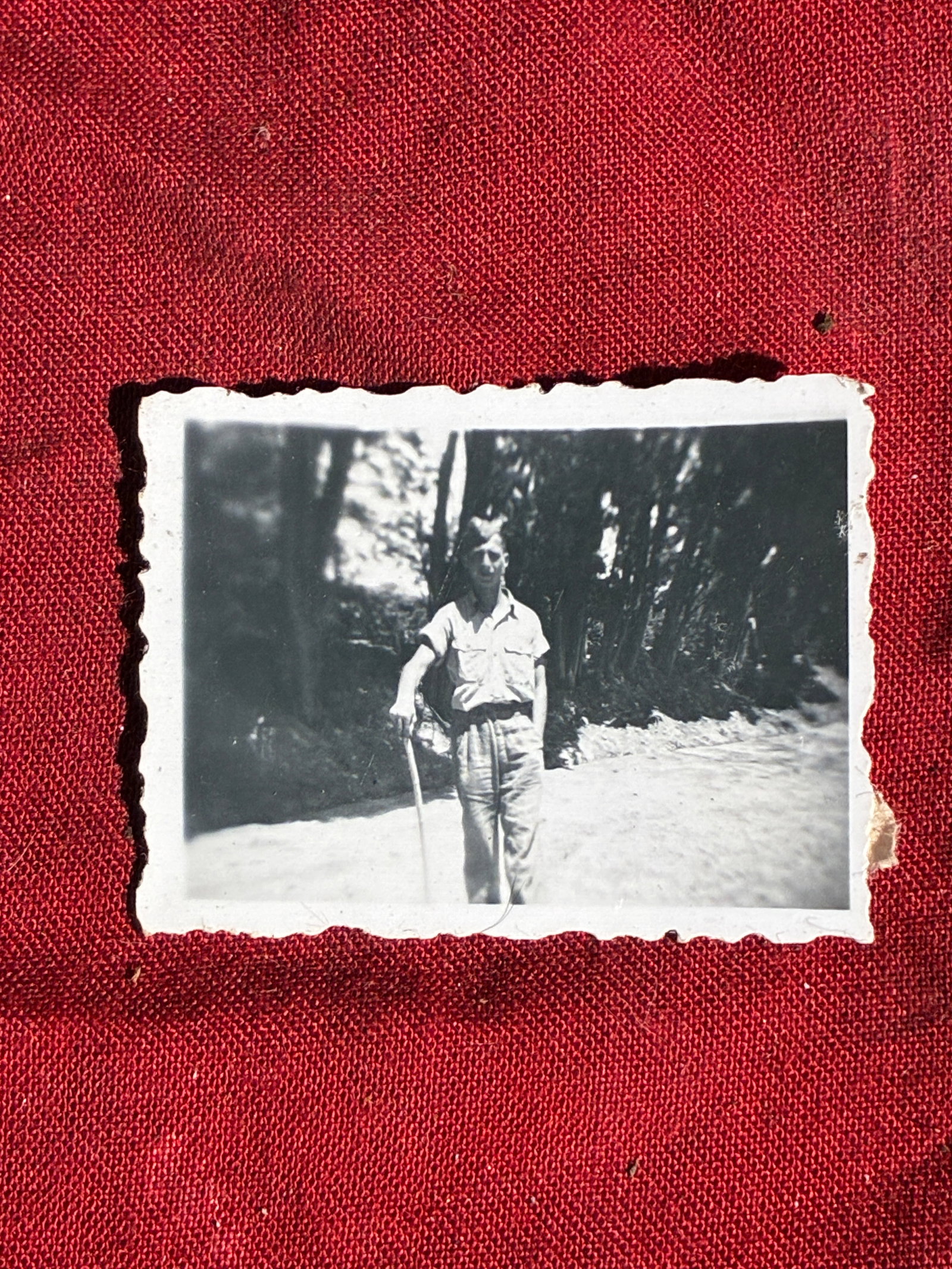 WW2 German Private Snapshot of a German Soldier, ca. 1939–1945: This small, privately taken photograph depicts a young German soldier standing outdoors, likely during a moment of rest away from active duty. Informal portraits such as this were common keepsakes car