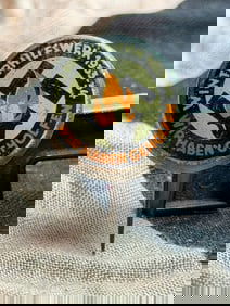 WW2 German Winterhilfswerk 1933–34 Donation Badge (WHW Pin)