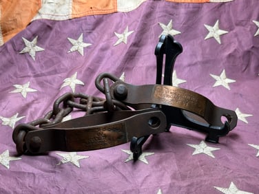 Iron Shackles of Enslavement: W. W. Wilber, Slave Seller, 1808