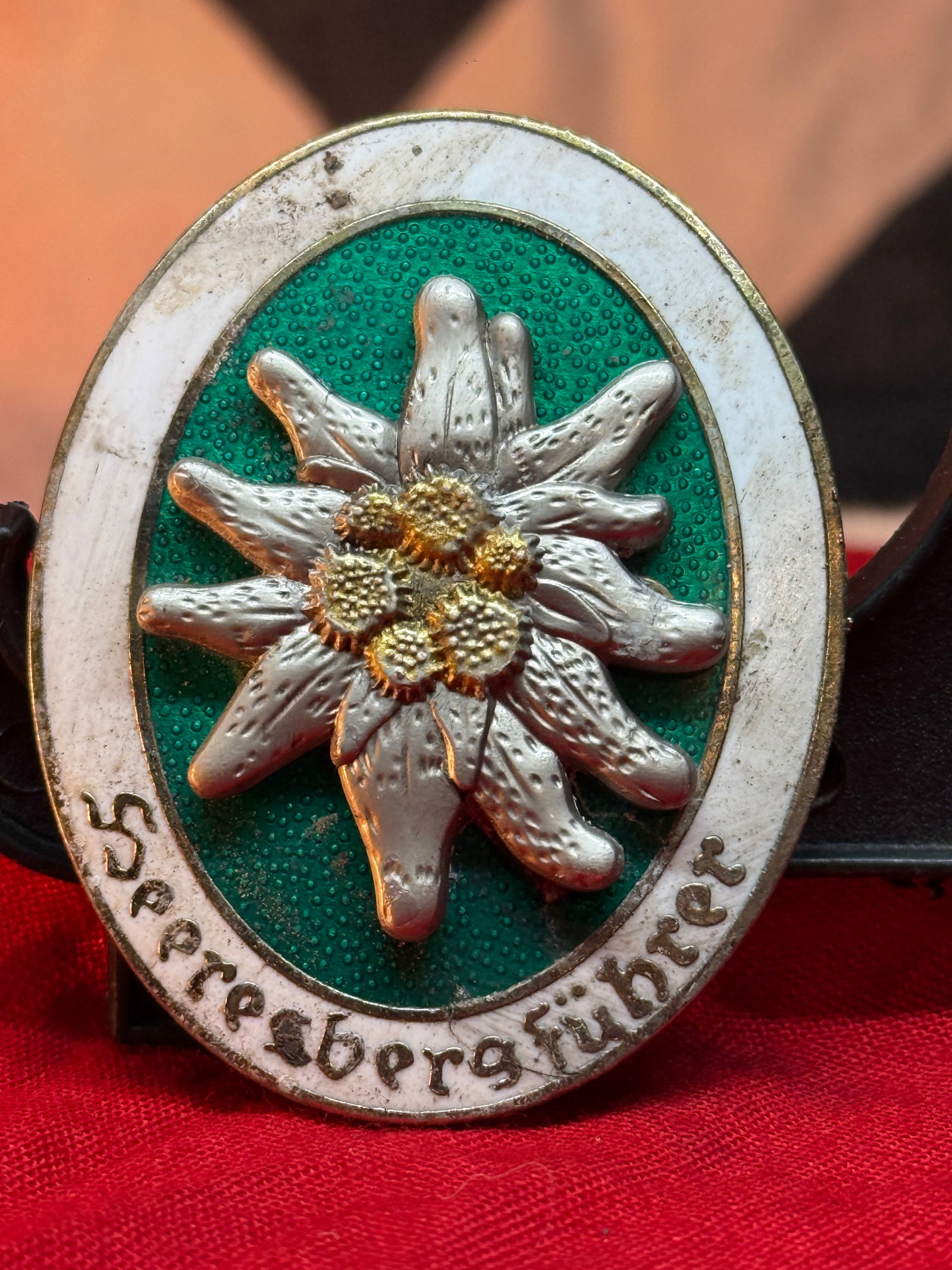 WWII German Army Mountain Guide Badge—Heeresbergführerabzeichen: An oval German Army Mountain Guide Badge with a white enamel border bearing the Gothic inscription “Heeresbergführer.” The green stippled enamel field supports a separately applied silver-col