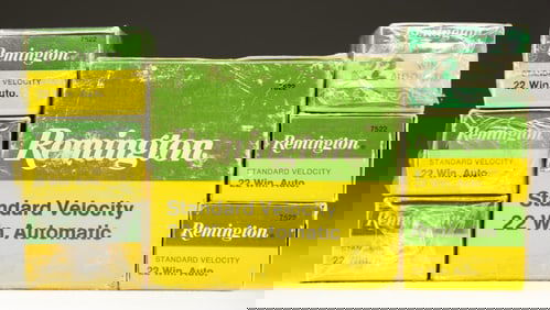 APPROXIMATELY 800 ROUNDS OF REMINGTON .22