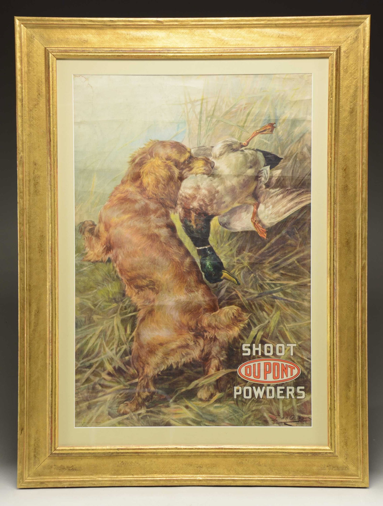 FRAMED DUPONT "THE RETRIEVER - BROWN DOG WITH: DUCK IN MOUTH" ADVERTISING POSTER, BY EDMUND OSTHAUS. Framed example of "The Retriever - Brown dog with duck in mouth" Dupont advertising poster, by Edmund Osthaus (1858-1928). Image depicts a golden 