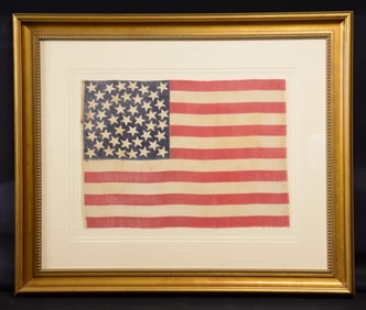 RARE MEDALLION PATTERN 45 STAR PARADE FLAG