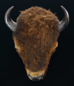 VINTAGE BUFFALO HEAD MOUNT.
