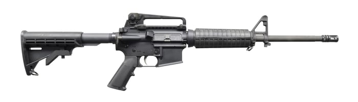 VERY CLEAN BUSHMASTER XM15-E2S CARBINE.