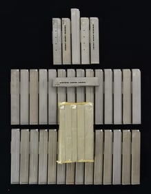 LOT OF 39 STEYR MPI 69/81 MAGAZINES.