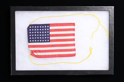 48 STAR US FLAG THAT WENT TO THE MOON.