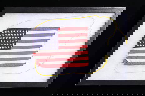 48 STAR US FLAG THAT WENT TO THE MOON.: Please note as of 8/7/25 this item title has been updated. Please revisit this title and contact us with any questions. This small 5 1/2" x 4" flag traveled to the moon and has supporting documentatio