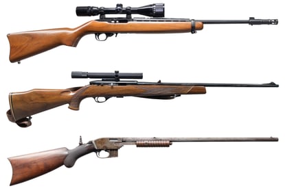 RUGER, WEATHERBY & SAVAGE RIMFIRE RIFLES.