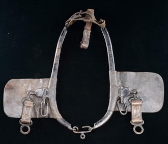 PAIR OF FULLY MARKED CIVIL WAR UNION HORSE OR MULE