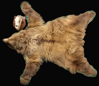 GRIZZLY BEAR RUG & MOUNTED BEAR SKULL.